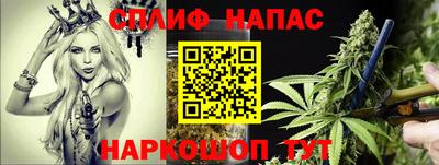 стаф Кинель