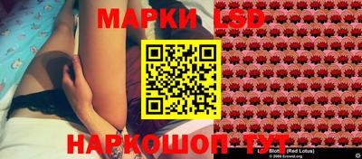 стаф Кинель