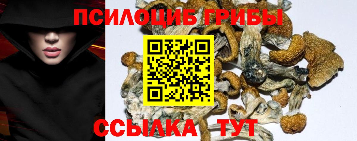 Псилоцибиновые грибы Cubensis  Галлюциногенные грибы Psilocybine cubensis  Ивантеевка  Вход с VPN 